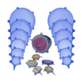 Silicone Stretch Lids Set