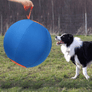 Dog Herding Ball 18 Inch