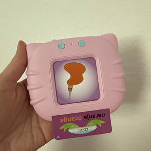 Talking Flash Cards Toddlers