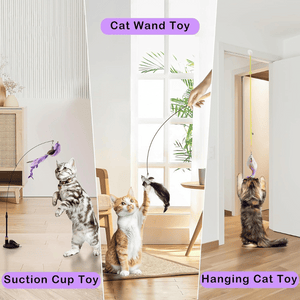 4-in-1 Cat Feather Toy