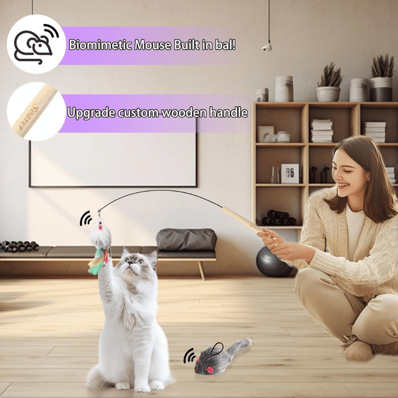 4-in-1 Cat Feather Toy