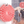 Silicon Scrub Brush