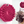 Silicon Scrub Brush